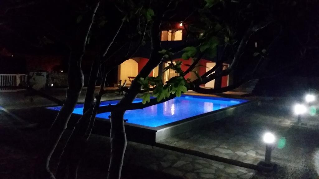 House With Swimming Pool Blue Diamond Lägenhet Povljana Rum bild